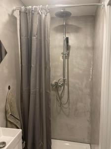 科佩尔Apartments Nina的浴室内配有淋浴帘。