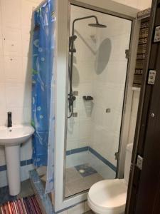 哈科特港Rehoboth Homes的带淋浴、卫生间和盥洗盆的浴室