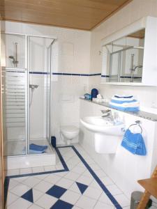 萨尔堡Ferienwohnung Wilhelmi的带淋浴、卫生间和盥洗盆的浴室