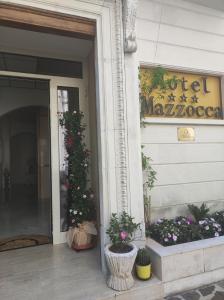 卡拉马尼科泰尔梅Hotel Mazzocca的一座种植了盆栽植物的酒店前门