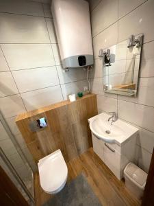 萨比诺瓦Domki Letniskowe Ratownik的浴室配有白色卫生间和盥洗盆。