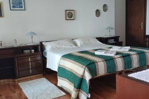 的里雅斯特Brezza Marina - Appartamento in villa fronte mare的一间卧室配有一张带绿色和白色毯子的床