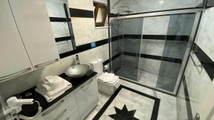 伊斯坦布尔Palm Beach Şile Villa Hotels的带淋浴、卫生间和盥洗盆的浴室