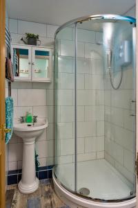 东迪勒姆Finest Retreats - New Inn Lodge的带淋浴和盥洗盆的浴室