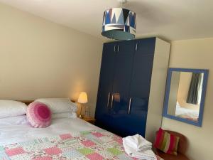惠灵顿Wellington view One en suite shower and super king bed的一间卧室配有一张带镜子和蓝色橱柜的床