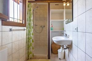 菲加里Petite Maison En Bois Exotique的一间带水槽和淋浴的浴室