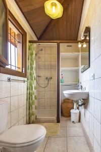菲加里Petite Maison En Bois Exotique的带淋浴、卫生间和盥洗盆的浴室