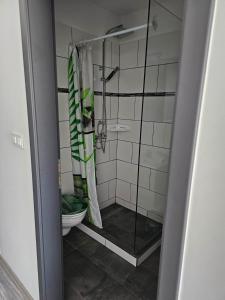 芬肯施泰因Orchidea3的带淋浴和卫生间的浴室