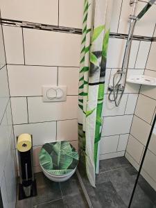 芬肯施泰因Orchidea3的一间带卫生间和淋浴的小浴室