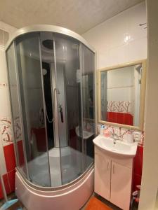 日托米尔Apartment in Shoduar's park的带淋浴和盥洗盆的浴室
