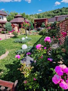 Bistriţa BîrgăuluiVila N&N Palace的一座种有粉红色花卉和长凳的花园