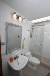 圣克鲁斯拉拉古纳Los Elementos的浴室配有卫生间、盥洗盆和淋浴。