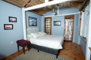 圣克鲁斯拉拉古纳Los Elementos的一间设有床铺的卧室,位于一间拥有蓝色墙壁的房间