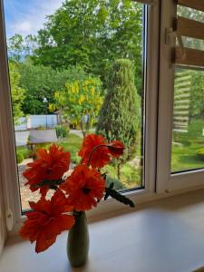 利沃夫Villa ZENKO的窗台上装着红色花的花瓶