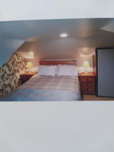 韦斯特波特Elmgrove Apartment , Croagh Patrick Westport的一间卧室配有一张床和一台平面电视