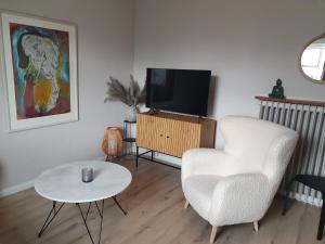 雷克雅未克Cosy apartment in the old west Reykjavik center的客厅配有椅子和电视