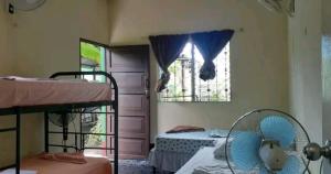 莫约加尔帕Cocos Hostel的客房设有两张双层床和一扇窗户。