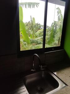 PoásEl Buda的厨房水槽和植物景窗户