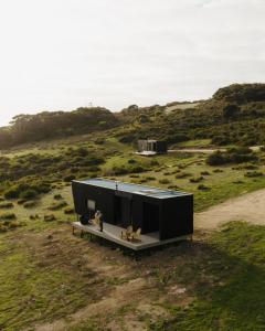 潘尼萧CABN Kangaroo Island的山丘上的黑房子,长凳上有两个狗