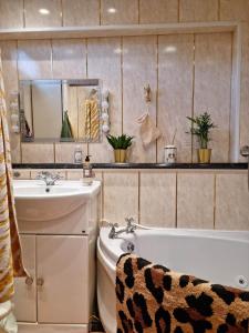 杜伦Durham Donkey Rescue Showman's Wagon的浴室配有盥洗盆、卫生间和浴缸。
