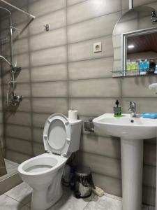 姆茨赫塔Mtskheta Wellpoint Arsukidze 48的一间带卫生间和水槽的浴室