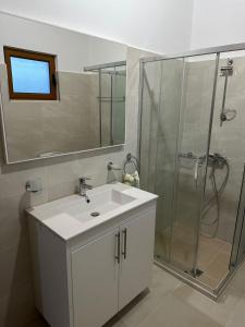 吉诺卡斯特Jons Apartment的浴室配有白色水槽和淋浴。