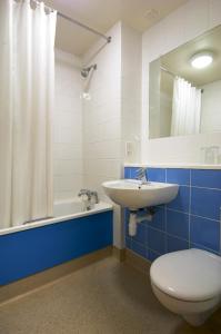 沃特福德沃特福德旅游景点的浴室配有卫生间、盥洗盆和浴缸。