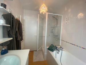 勒芒Chambre d'hôtes de Verdigné Piscine Parking Wifi的带浴缸、淋浴和盥洗盆的浴室