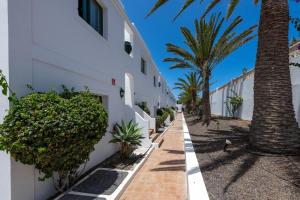 科拉雷侯Casa Virginia Corralejo by iRent Fuerteventura的棕榈树白色建筑前的街道