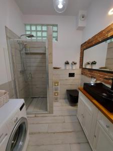 弗罗茨瓦夫Apartment Ksiecia Witolda 43的带淋浴和洗衣机的浴室