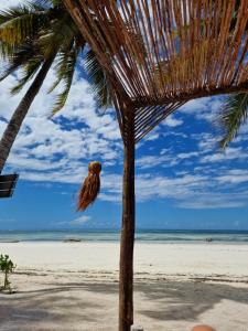 吉汶瓦Ayla Beach House的海滩上的棕榈树与大海