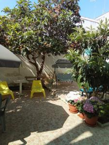 莱切B&B Fenice Barocca的一个带树木和植物的庭院以及一张桌子和椅子