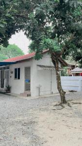 Kampong Haji MusaKota Bharu RS Desa Roomstay的前面有一棵树的白色房子