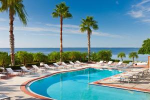 坦帕坦帕湾凯锐豪华酒店的一个带躺椅的游泳池,棕榈树