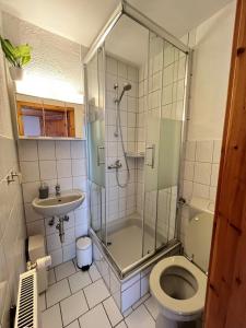 KreuzauAppartementhaus Schlagstein App3的带淋浴、卫生间和盥洗盆的浴室
