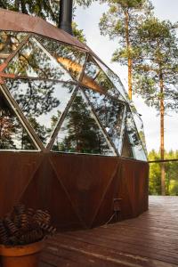 VidnesTreehouse dome的一座有树木的玻璃圆顶建筑