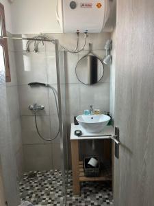 阿索斯Vassilis Retreat的一间带水槽和淋浴的小浴室