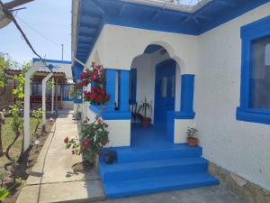 穆里吉奥尔Casa Traditionala Clisciova的蓝色门,房子有蓝色楼梯