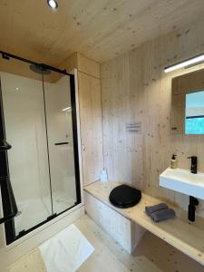 金瓦拉Slow Cabins Kinvara的带淋浴、卫生间和盥洗盆的浴室