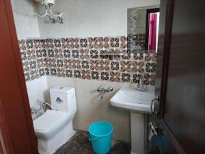 西姆拉Pal Homestay Shimla的一间带水槽、卫生间和镜子的浴室