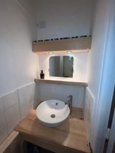 维特里勒弗朗索瓦Chez Léandre的浴室设有白色水槽和镜子