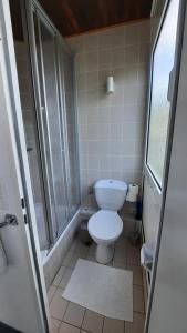 科赫姆施耐德旅馆的一间带卫生间和淋浴的浴室