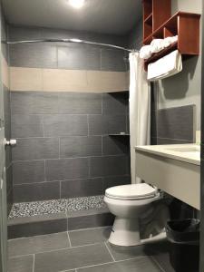 尼斯维尔Budget Inn Valparaiso/Niceville @ Eglin AFB & Destin-FWB Airport的一间带卫生间和淋浴的浴室