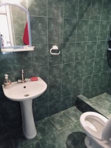 TsemiMTA的绿色瓷砖浴室设有水槽和卫生间