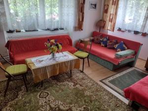 维尔奇斯拉夫科夫Dom pod Tatrami.的客厅配有红色的沙发和桌子