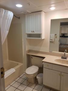 布兰森Oak Ridge at Branson的浴室配有卫生间、盥洗盆和浴缸。