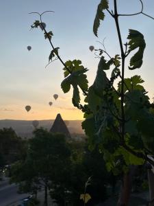 格雷梅Paradise Cappadocia的一组热气球在日出时在天空中