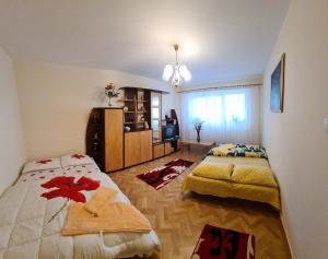 斯勒尼克Apartament Slănic Prahova的一间卧室配有两张床和吊灯。