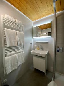 埃尔瓦尔德Haus Tirol Ehrwald的浴室配有盥洗盆、镜子和毛巾