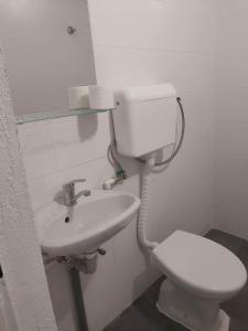 索科矿泉村Apartman Natasa Sokobanja的浴室配有白色卫生间和盥洗盆。